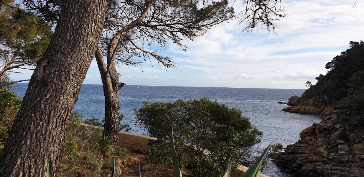 Maison Provencale Cavalaire-sur-Mer Eksteriør bilde